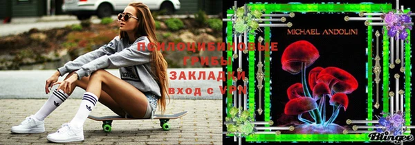 ПСИЛОЦИБИНОВЫЕ ГРИБЫ Балабаново