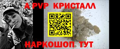 гашик Будённовск