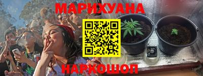 гашик Будённовск