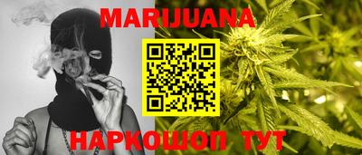 гашик Будённовск