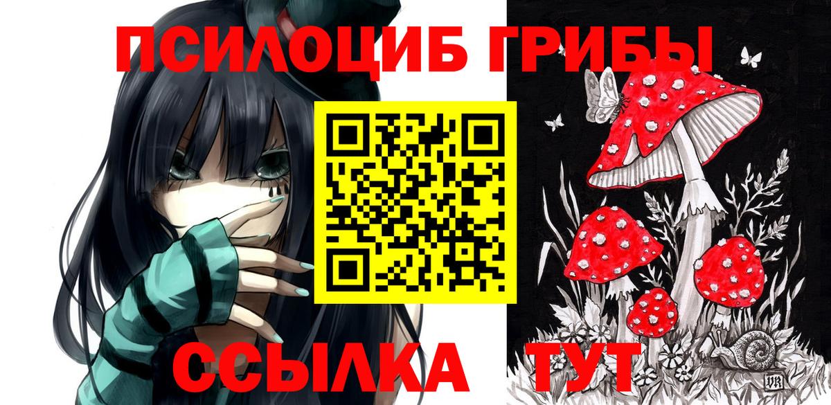 Конопля  Гашиш  MDMA  Зеленогорск  Кокаин  Купить наркотики  Вход с VPN  ГЕРОИН  Меф МЯУ МЯУ кристаллы 