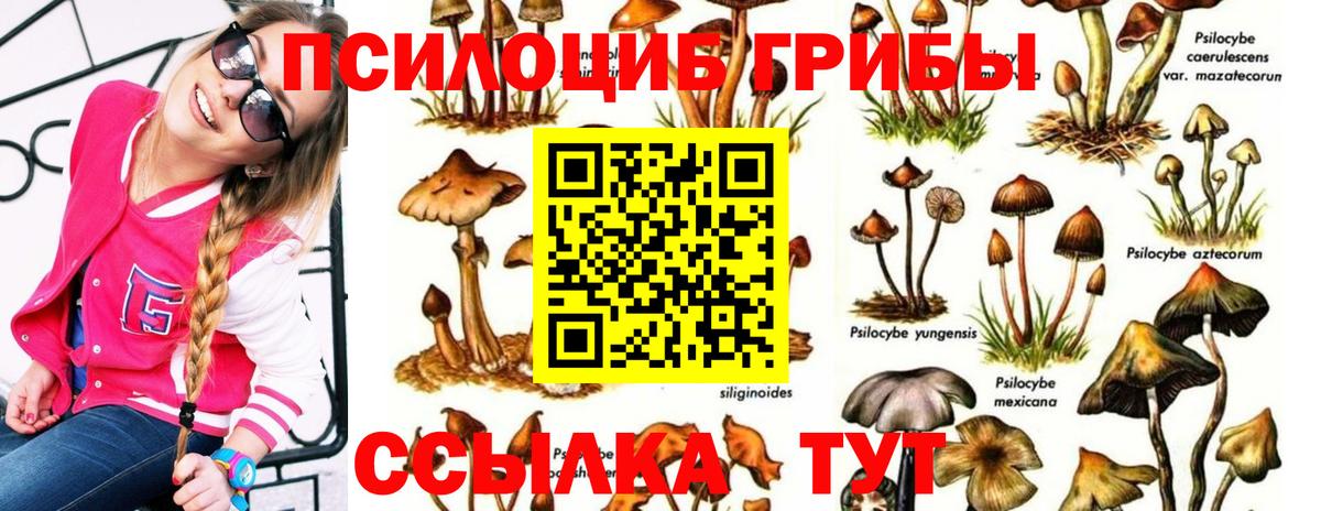 Галлюциногенные грибы Psilocybe  Галлюциногенные грибы Magic Shrooms  Зеленогорск 