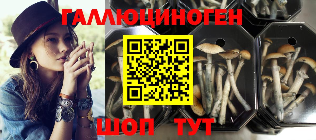 Галлюциногенные грибы Cubensis  Вход с VPN  Зеленогорск  Галлюциногенные грибы MAGIC MUSHROOMS 