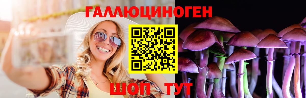 Галлюциногенные грибы Psilocybe Зеленогорск