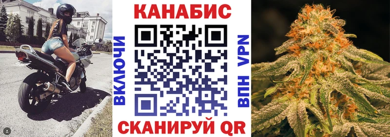 blacksprut ссылки  Зеленогорск  Канабис сатива 